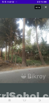 Maloncha Roadside 9 shatak jomi bikroy hobe